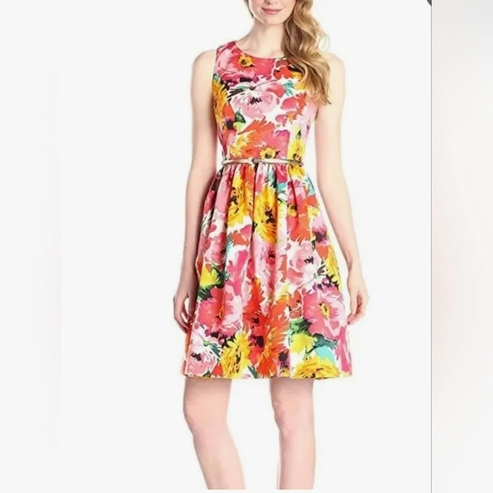 Eliza J Floral Fit to Flare Open/ Zip back belted Knee Length dress. 12 P